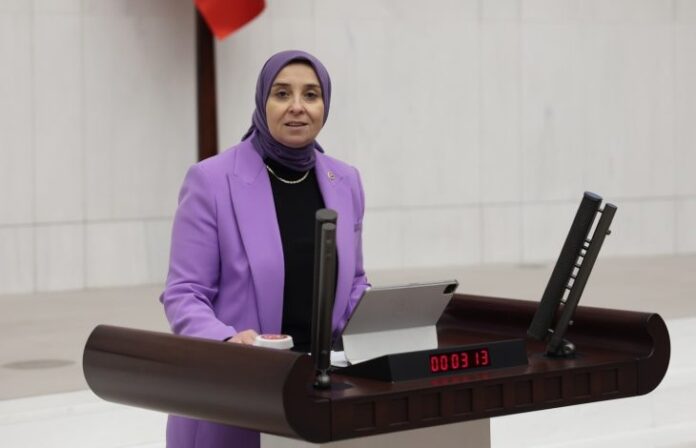 deva-parti-elif-esen